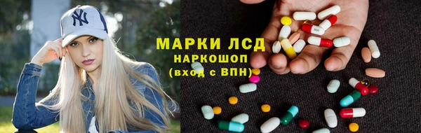 СК Покачи