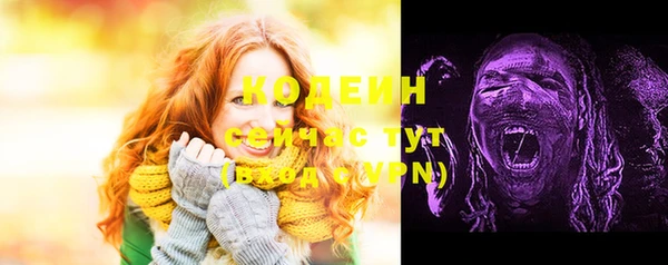 мяу мяу мука Пересвет