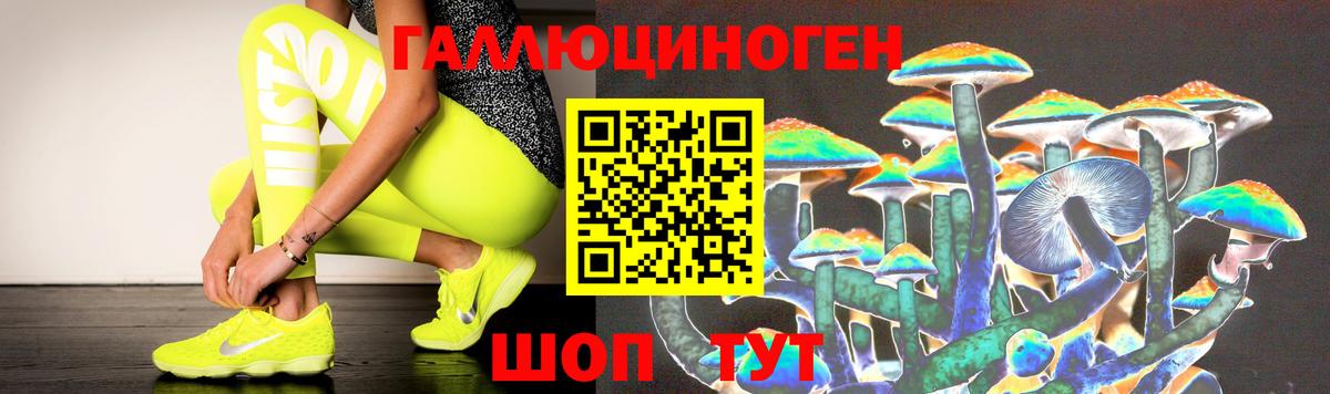 Псилоцибиновые грибы прущие грибы  где купить наркотик  Старая Русса 